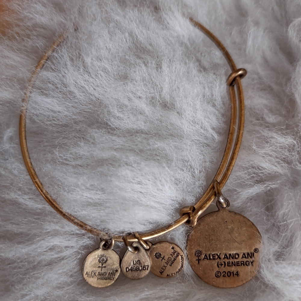 Alex and Ani Rafaelian Gold Sister Floral Charm Bangle Bracelet - Picture 7 of 9
